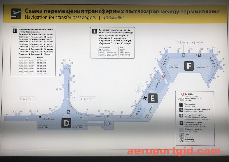 Схема терминала с шереметьево прилет