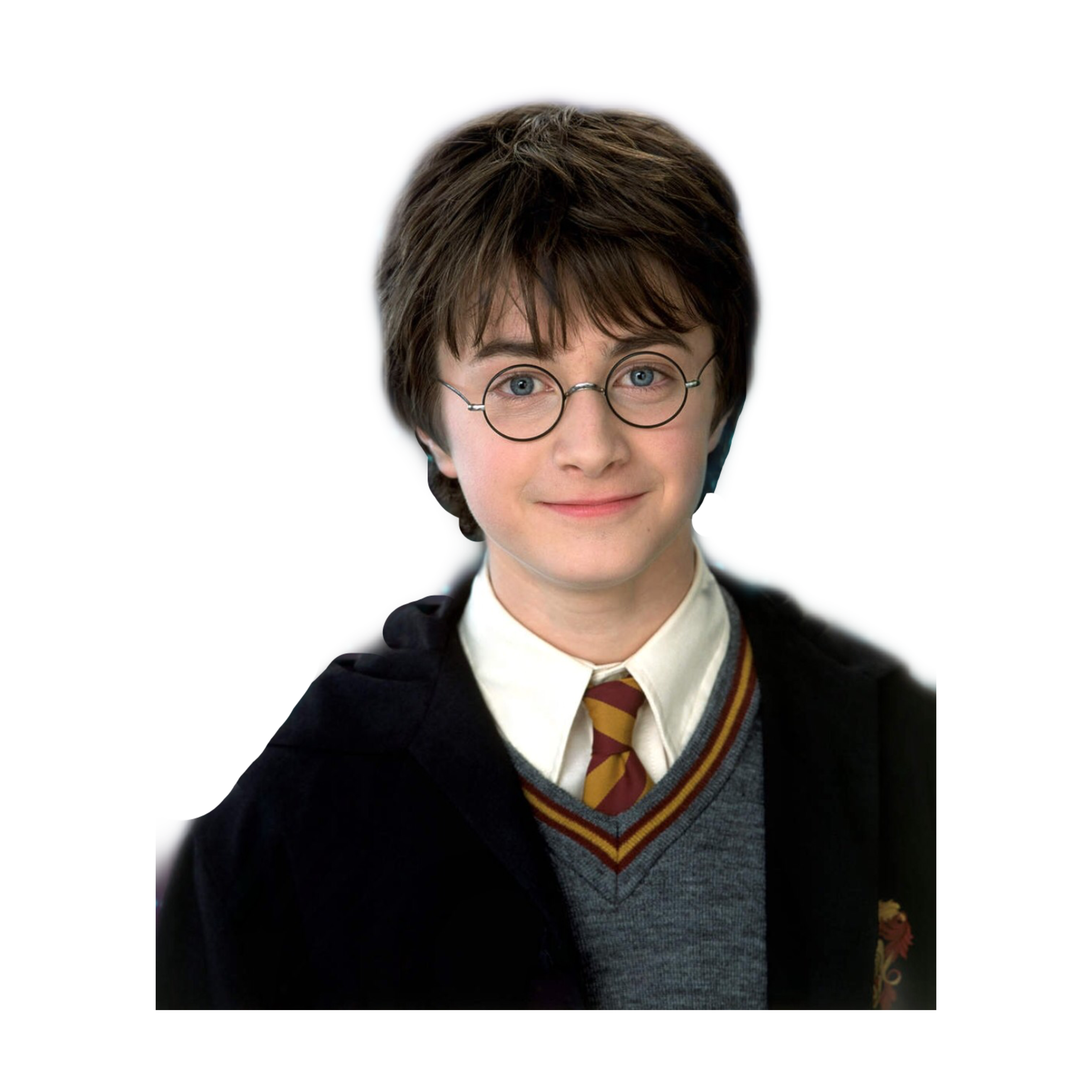 Harry potter use. Гарри Поттер внешность. Гарри Поттер НПГ. Гарри Поттер Гай Риччи. Брэндон гдиссом Гарри Поттер.