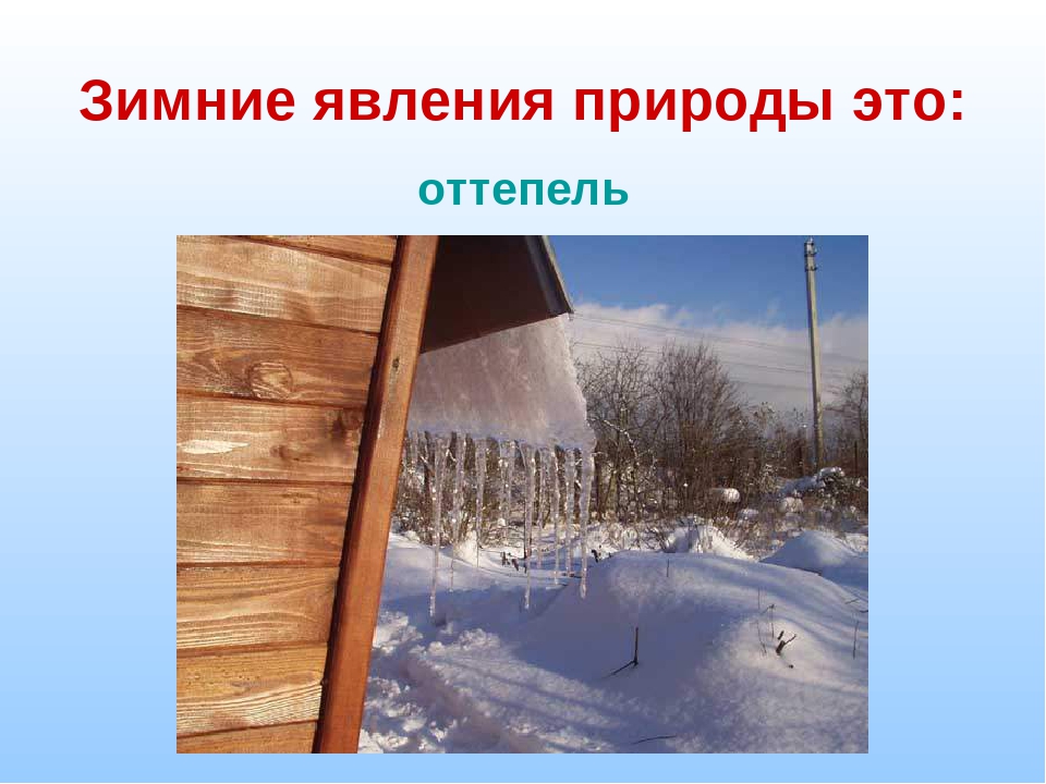 Зимние явления. Явления зимой. Явления природы зима. Оттепель явление природы. Зимние явления оттепель.