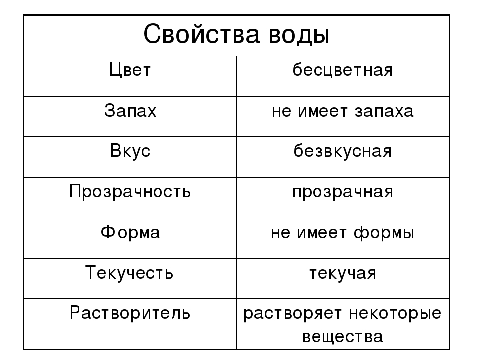 Вкус цвет запах тортов