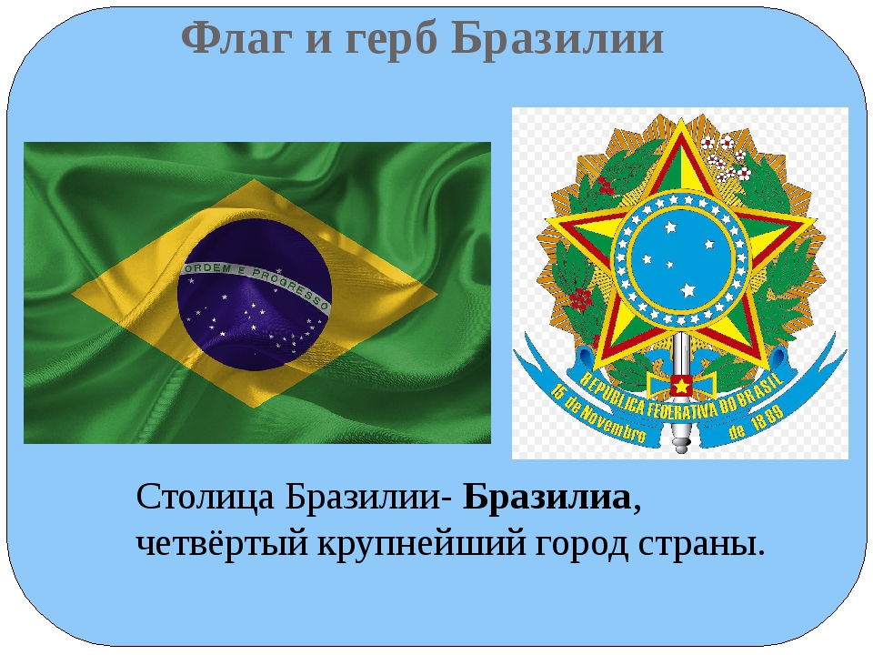 Герб бразилии