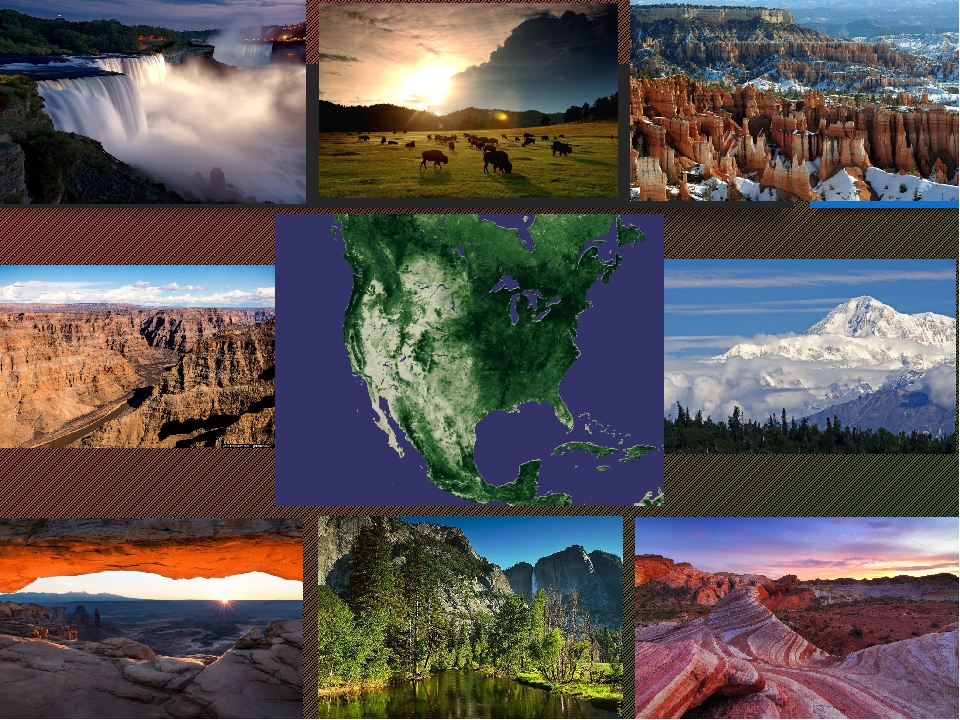 Какое время года в северной америке. Растительный мир США. Разнообразие природы Северной Америки. Географическое разнообразие. Природные объекты Северной Америки.