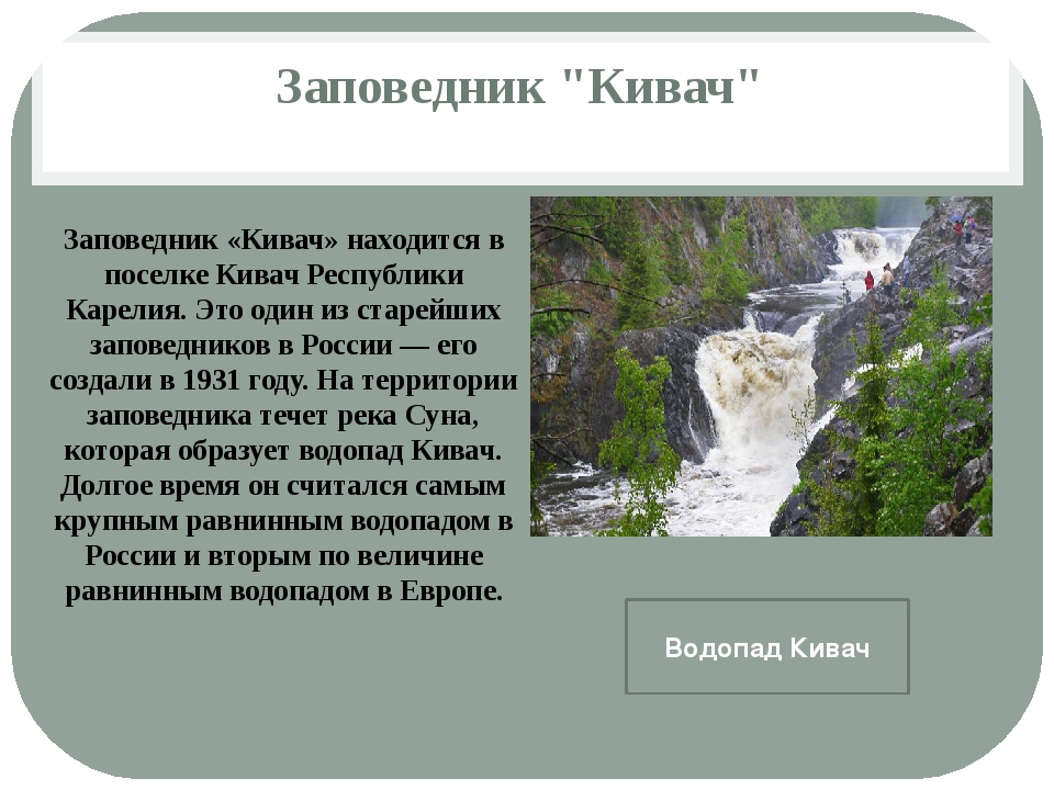 Восточно европейский заповедник. Национальный парк водопад Кивач. Заповедник Восточно европейской равнины Кивач. Заповедник Кивач в Карелии презентация. Достопримечательности Республики Карелия водопад Кивач.