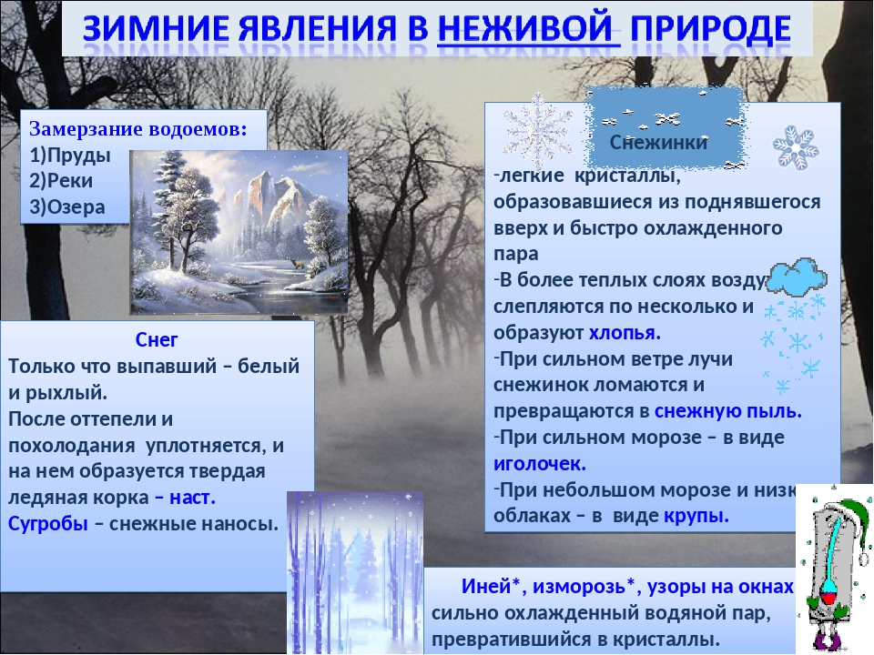 Зимние явления неживой природы 2