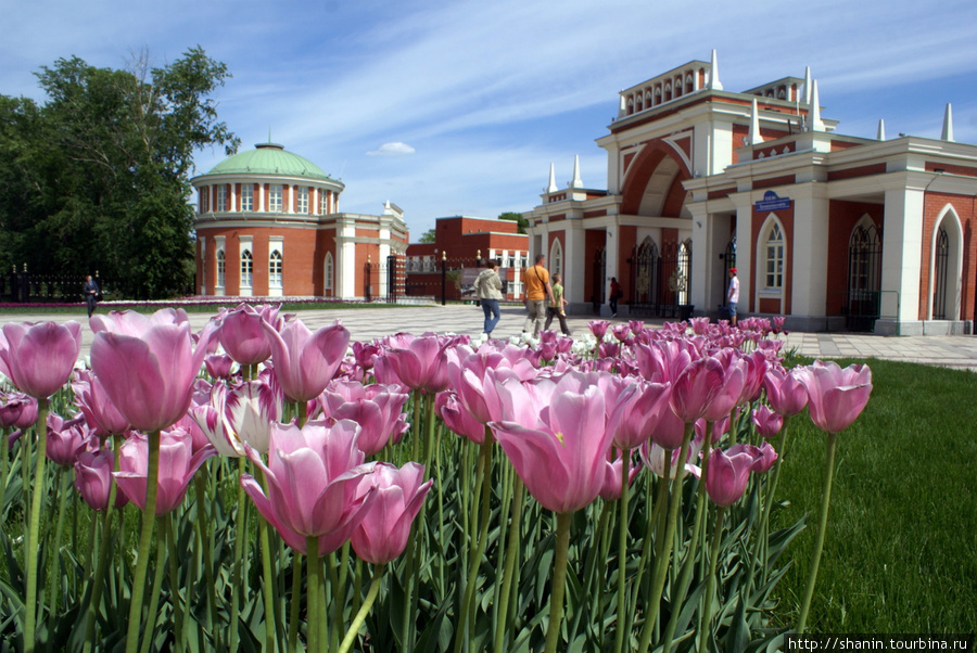 Царицыно в москве цена. Парк Царицыно. Парк Царицыно цветники. Парк Царицыно в Москве весной. Усадьба Царицыно.