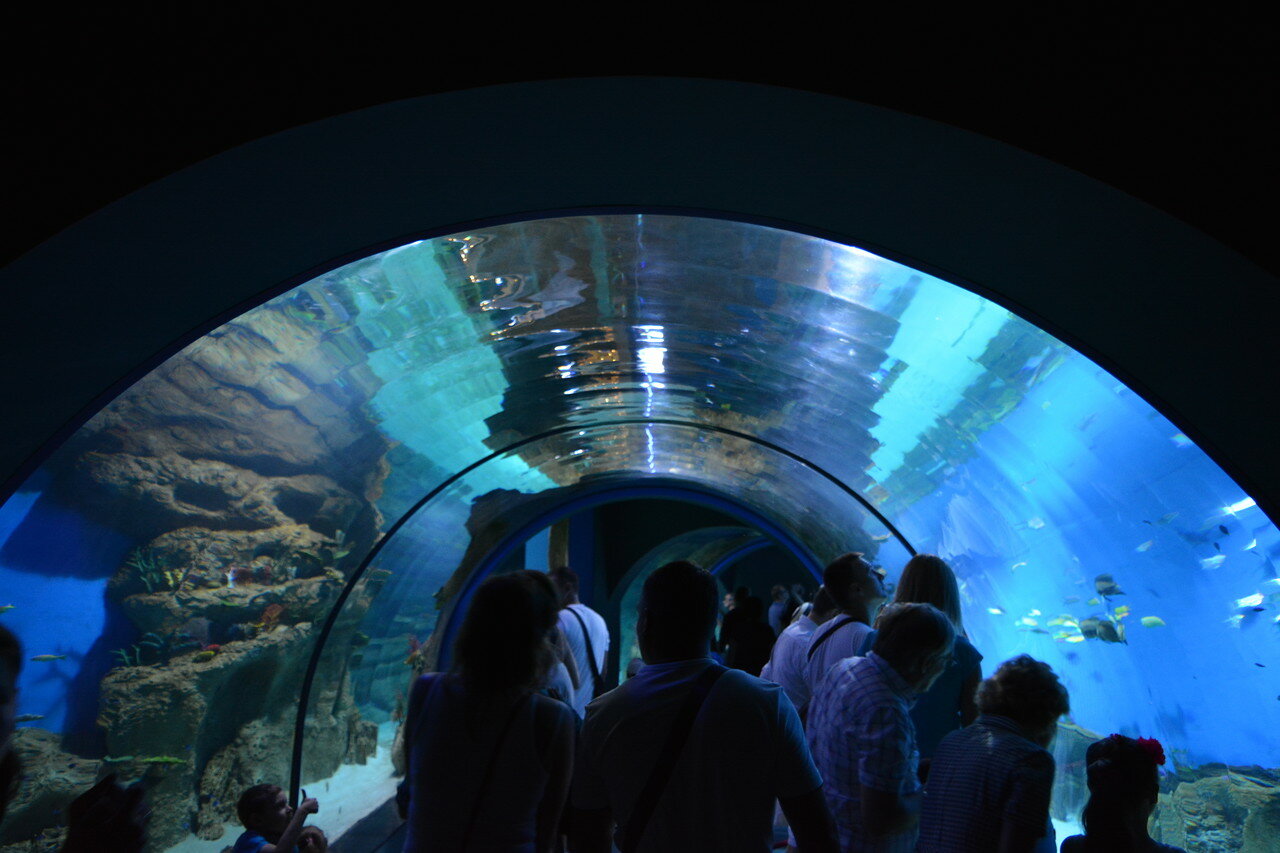 аквариум на вднх в москве