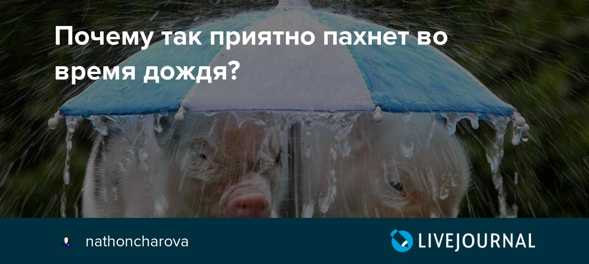 девушка под летним дождем. волгоград дождь. запах дождя. ливень на улице. нужен дождь.