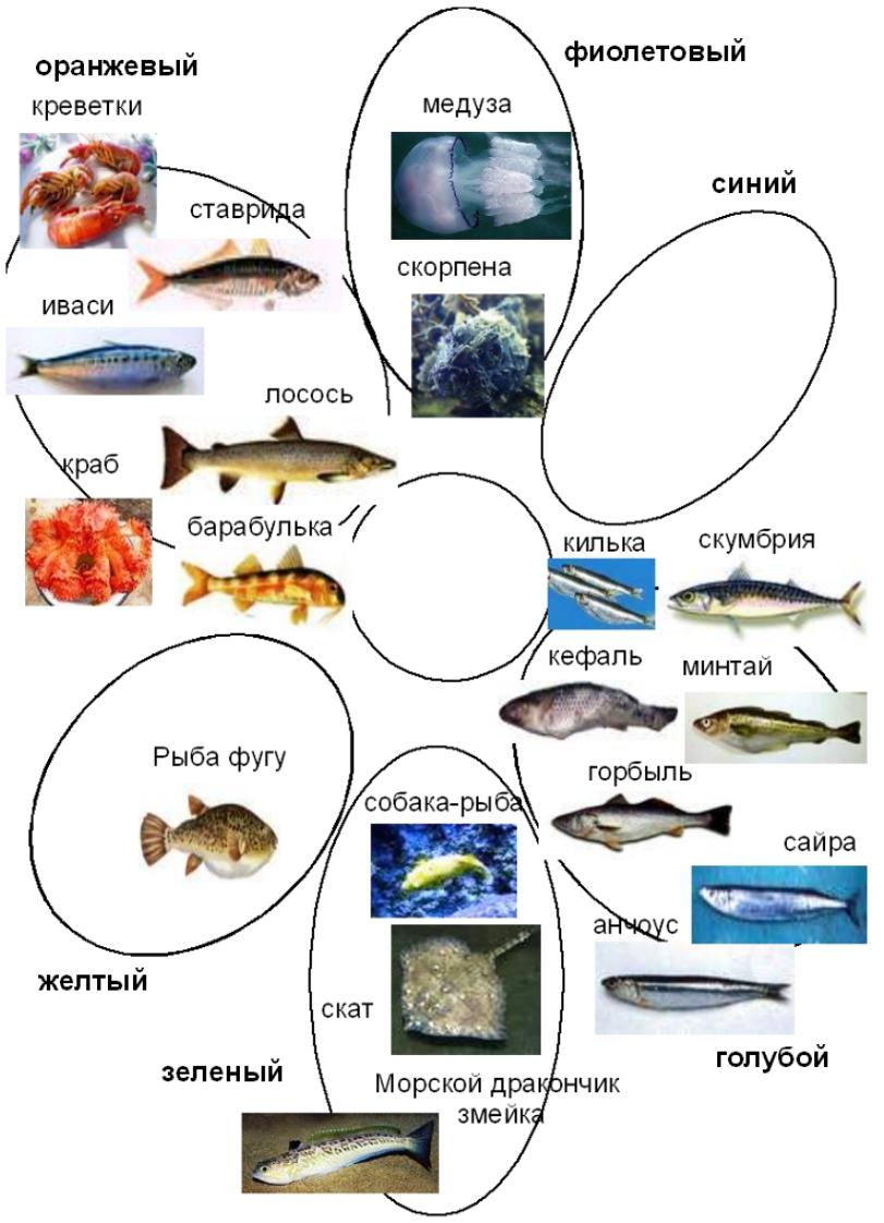 Карта где можно рыбачить