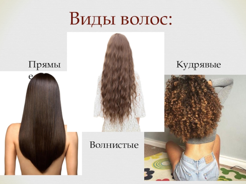 Различия волос. Типы волос прямые волнистые. Прямые и волнистые волосы. Прямые и кудрявые волосы. Типы волос прямые кудрявые.