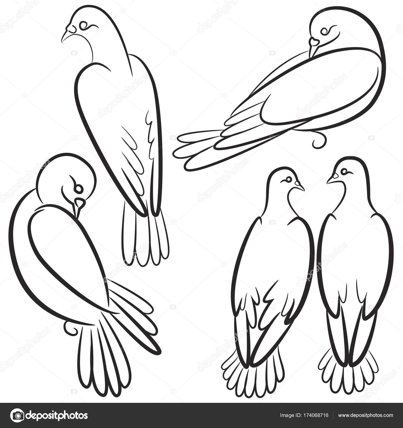 Несколько нарисованных голубей