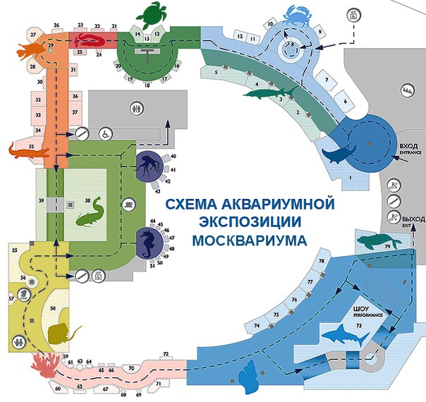 Океанариум питер пушкинская карта